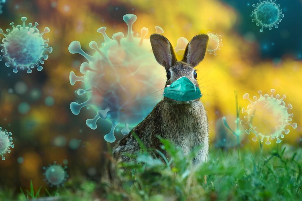 easter, virus, mask, nature, easter bunny, bunny corona, spring, cute, easter festival, epidemic, pandemic, infection, virus, easter bunny, epidemic, pandemic, pandemic, pandemic, infection, infection, infection, infection, infection