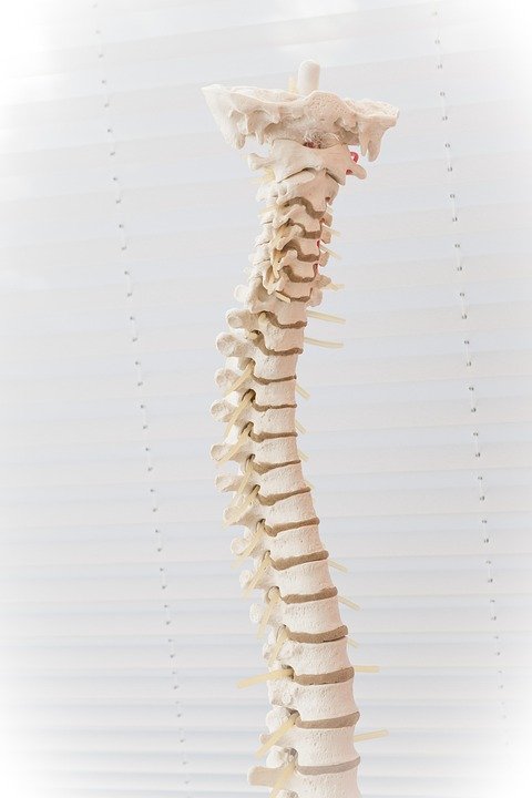 back pain causes