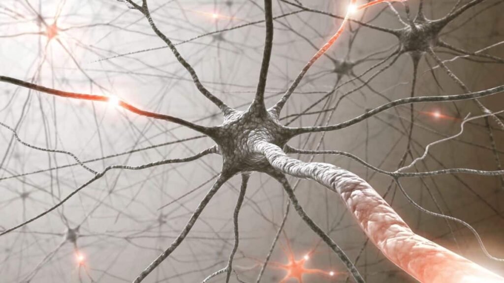 Harnessing Neural Plasticity: The Key to Successful Regenerative Neurotherapy 